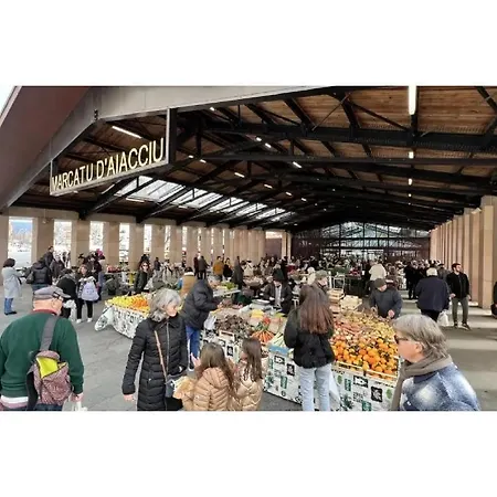 Διαμέρισμα Terrasse Au Coeur D'ajaccio *